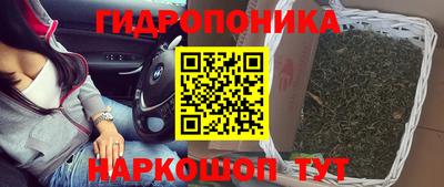 ешки Можга