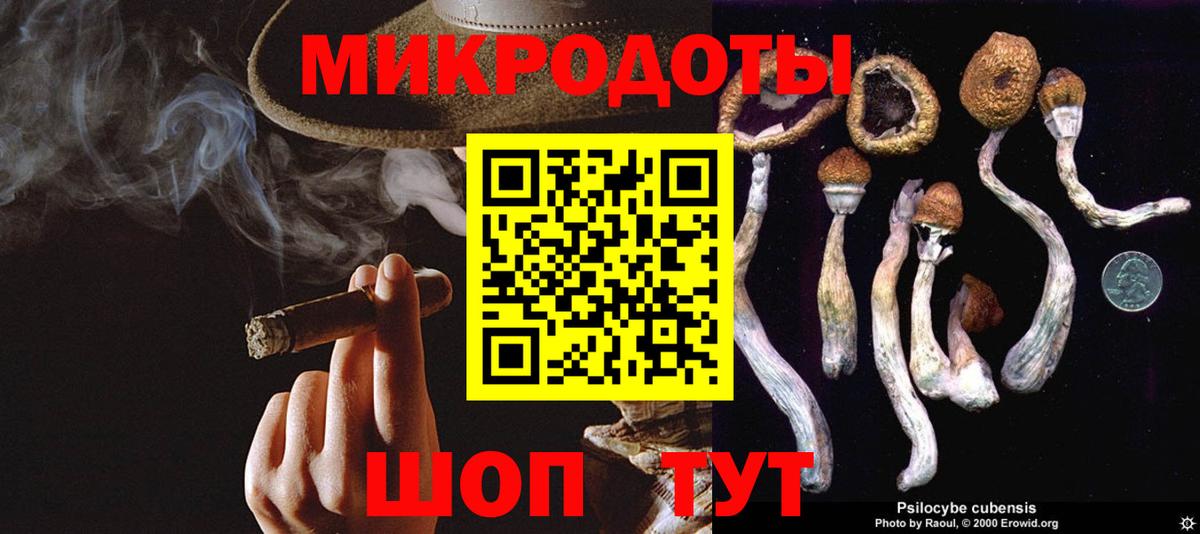Холмск  цена   Вход с VPN  Псилоцибиновые грибы Psilocybe  Псилоцибиновые грибы ЛСД 