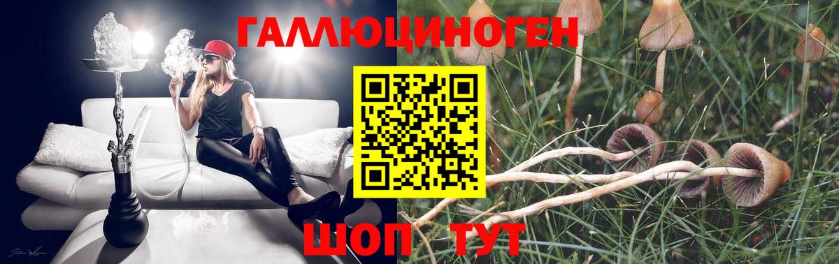 Псилоцибиновые грибы GOLDEN TEACHER Холмск